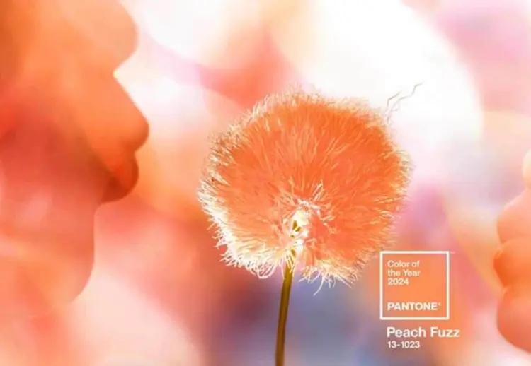 Pantone 2024 Peach Fuzz Color