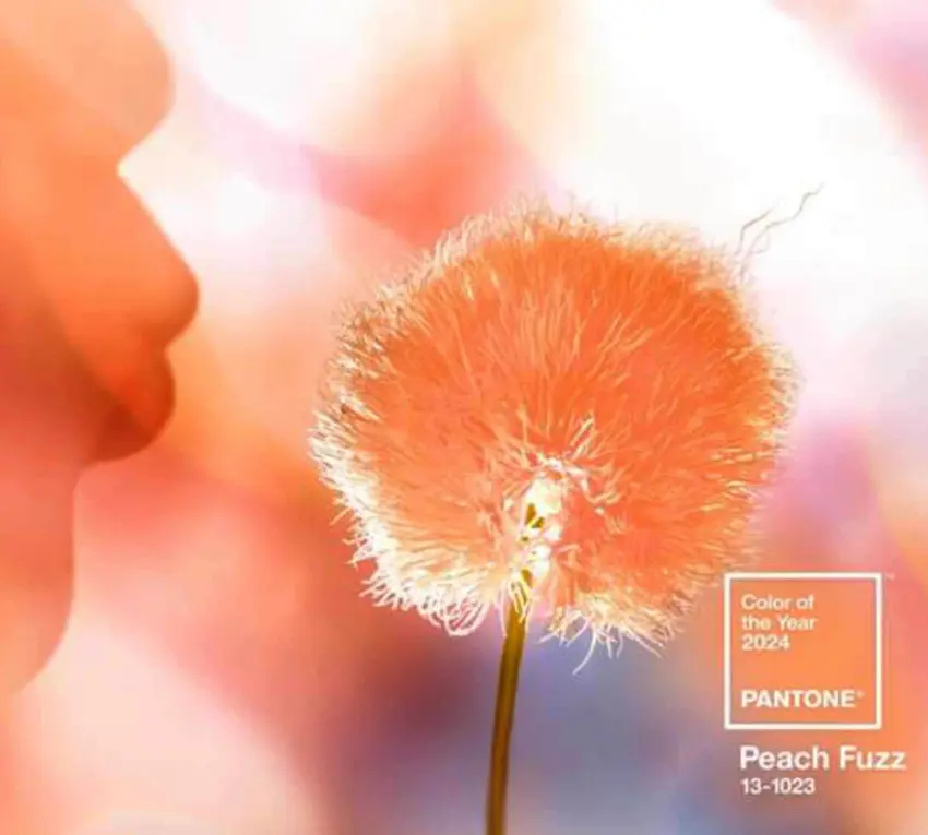 Pantone 2024 Peach Fuzz Color